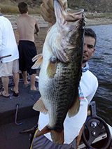 IMG_20130929_174432 (Thumb)